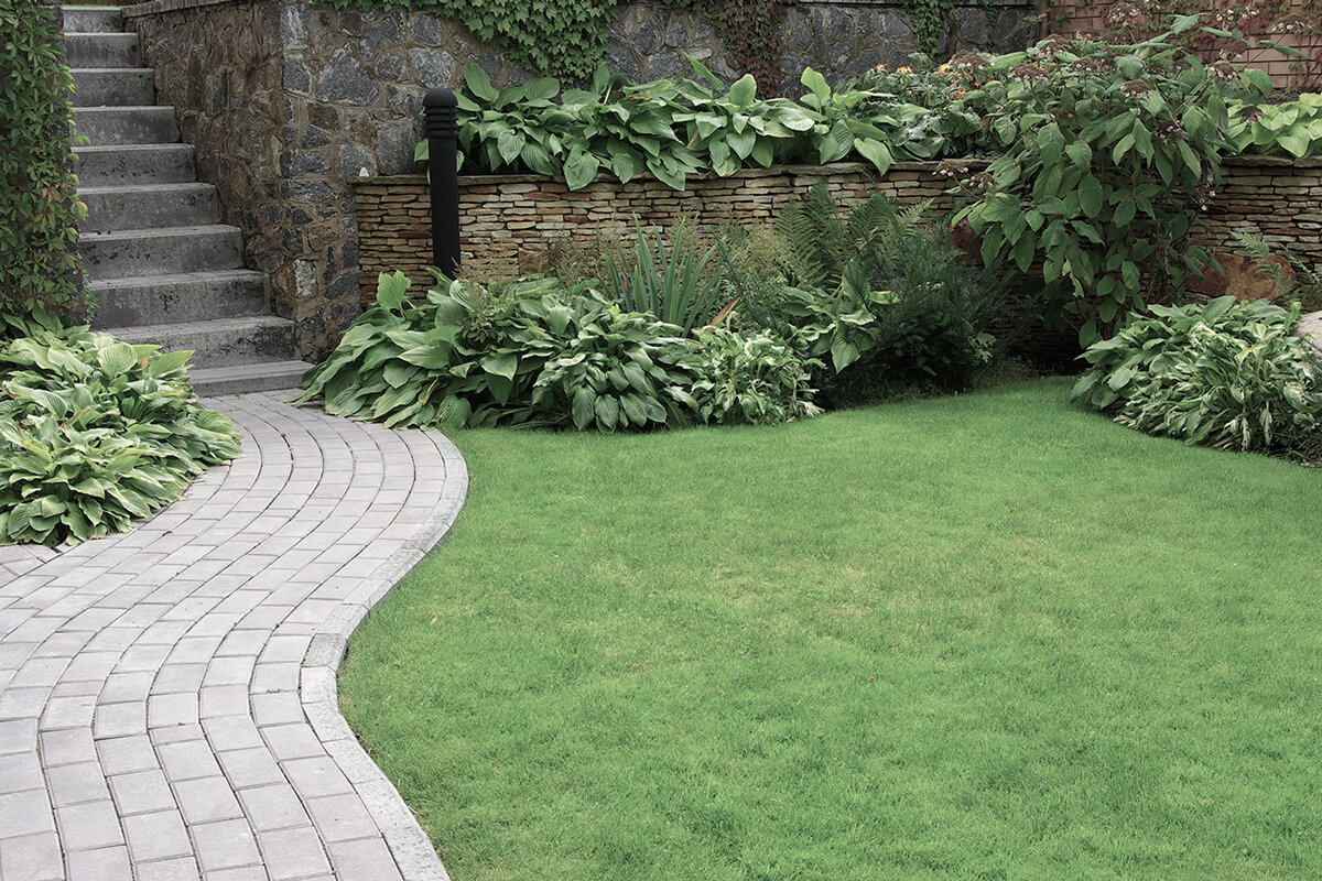 Welcome to All Cut Landscaping